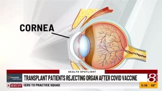 Shocking New Study about COVID-19 Vaccine (2022)