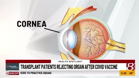 Shocking New Study about COVID-19 Vaccine (2022)