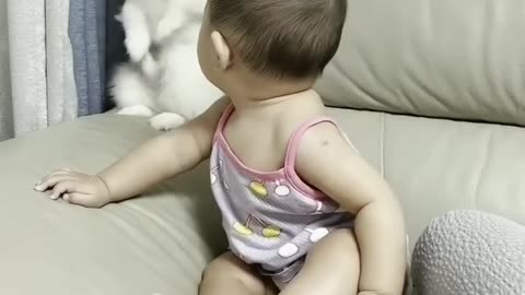 #shorts 🐕🐈 Cute Dog and baby