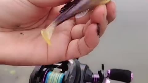 Best Asian Fishing Video