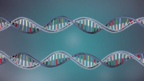 DNA replication - 3D