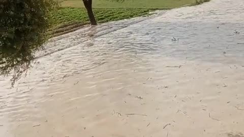 Sutlej River over flow and water come to homes Pakistan Punjab to much lose