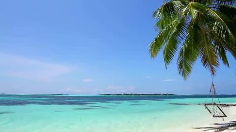 Entspannung Tropischen Strand