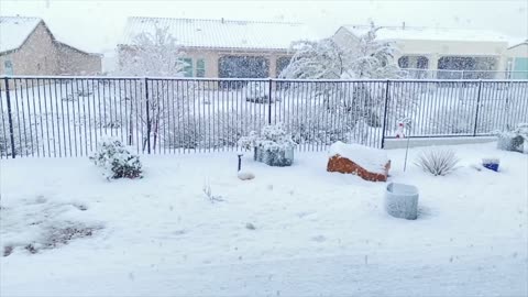 Late February 2023 Snowfall near Tucson, Arizona