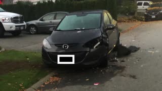 Security cam captures dramatic hit and run