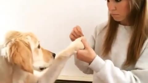 Girl cutting her dog's nails🥺🤌🏻😍