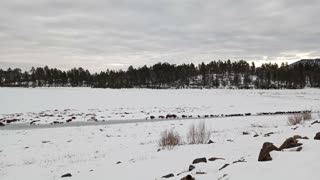 Lake Cuyamaca in Winter of 2021_Part 1