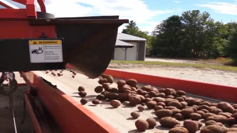 A glimpse at the process of growing, packing, and shipping potatoes