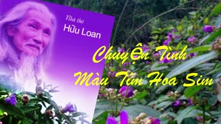 CHUYỆN TÌNH MÀU TÍM HOA SIM