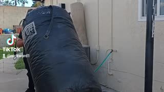 Lifting My 500Lb Punching Bag To Hang On It's Custom Stand!