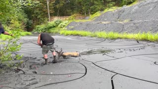 Rescuing a Mud Stuck Buck
