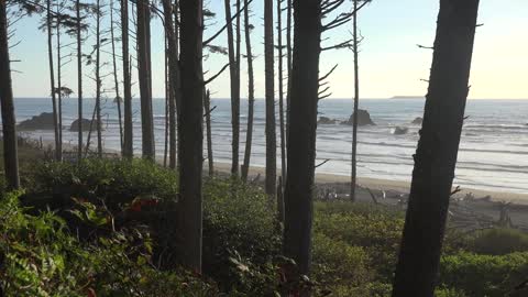 Olympic National Park Beaches, Washington, USA [Amazing Places 4K]