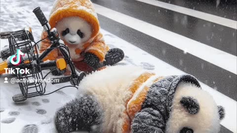 Panda riding a bike