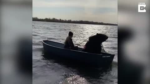 Rescued Brown Bear Goes Fishing With Owner