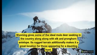 The Of The Benefits of Hunting for Mental Health and Well-Being