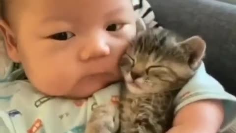 Cute kitten and baby loves