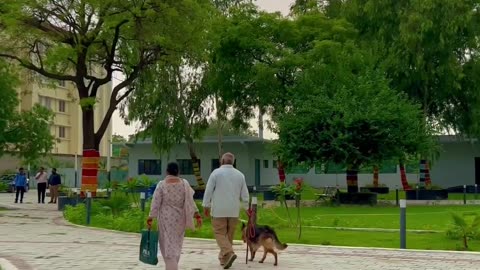 Dog Park In Noida | Calling all pet lovers in Noida | More Details in the Comment Box #shorts #viral