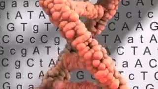 Gregg Braden DNA-God within the body