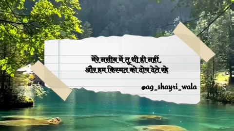 Shayri Reel