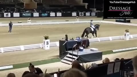 Charlotte Dujardin demonstrates 'the correct use of a dressage whip'