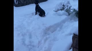 Alma's First Snow