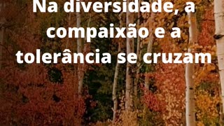 #compaixãoetolerância