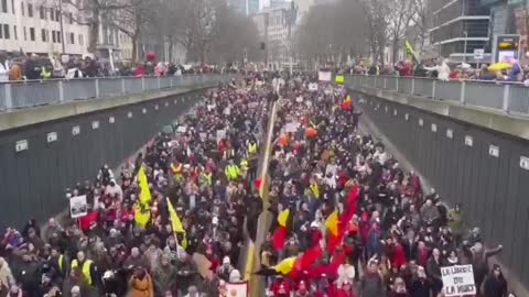 Brussels Belgium Massive Protest Against Tyranny