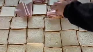 100 Sandwiches For People in Need