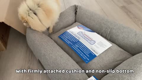 Daily Life Routines Episode 5 Pomeranian Puppy (NEW) Dog Bed!