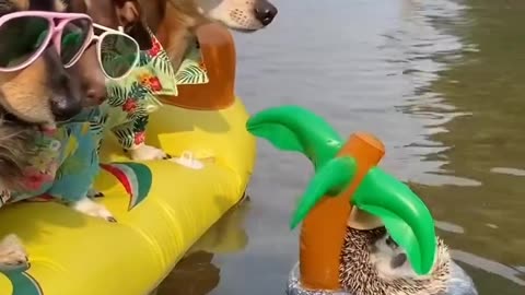 Cutest Beach Party Ever