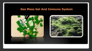 What Is Sea Moss?