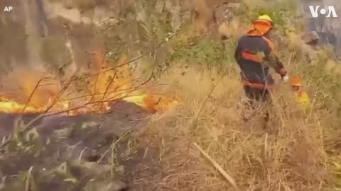 5 Killed in Peru Forest Fire | VOA News