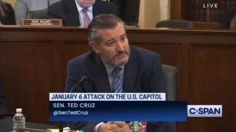 Ted Cruz, Your career is over! You called January 6th Terrorists