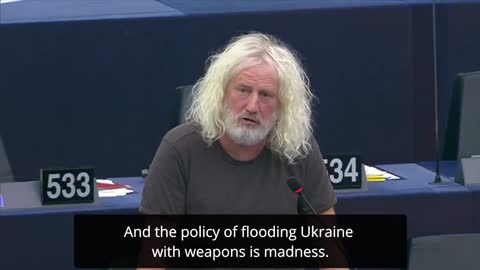 Mick Wallace ír európai parlamenti képviselő: