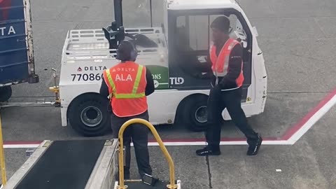 Raw Salmon Fillet Confuses Airport Employees