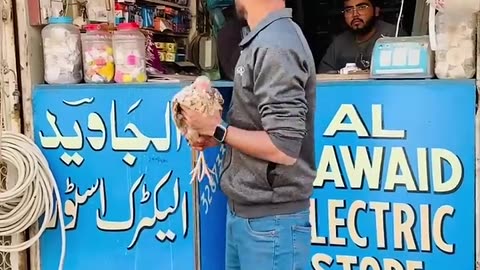 Batao Murga anda din main deta hai ya shaam main_😂 Kya apke pas chicken hai_😁