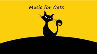 Music for Cats