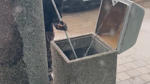 Momma Raccoon and Her Babies Rescued From Garbage Can