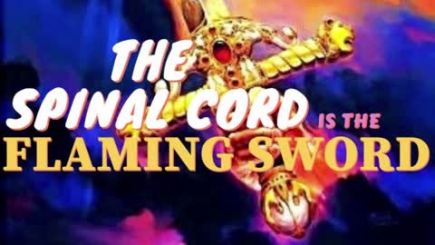 THE SPINAL CORD IS THE FLAMING SWORD