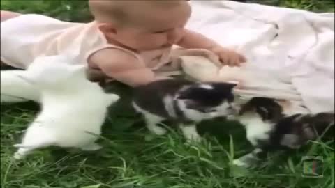 Cute Baby Playing With Kittens Most Adorable Baby Video Ever