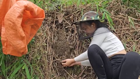 Binh's daily work and how Binh catches honey bees and makes bee crates. Rural lady