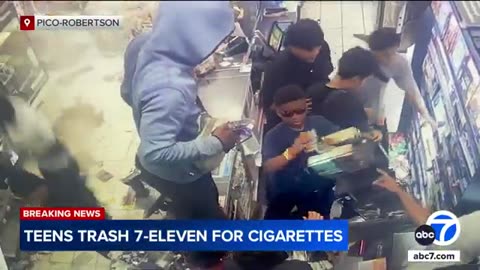 Teens captured on video trashing 7-Eleven in Pico-Robertson