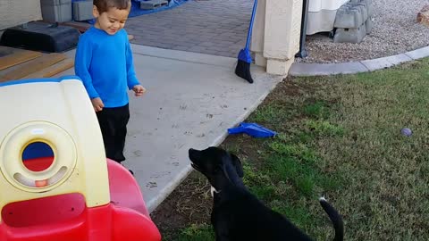 Rescued dog wants to play with toddler