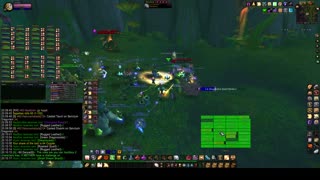 Turtle Wow - MM ES weekly hard mode - 28 July - Paladin POV - no commentary