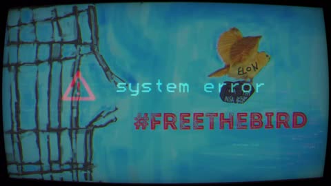 #FreeTheBird #ElonMusk #TwitterFiles