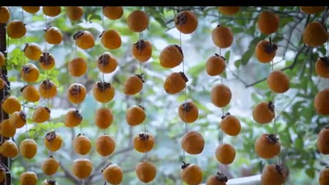 May the red, red persimmons bring you a happy, prosperous new year!❤️