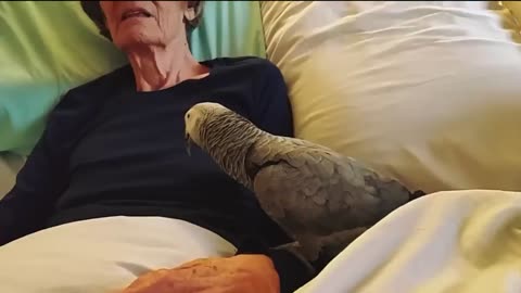 Dying women says finally goodbye to her parrot but The parrot reaction will make you cry !
