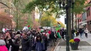 (sick) Yale Sucks... pro-Palestine rally at Yale University