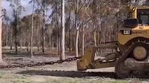 The Giant Chain And Bulldozer Destroy theForest🤣🤣🤣