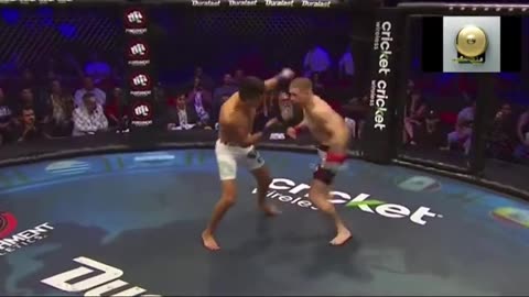 Top Knockout mma, ufc